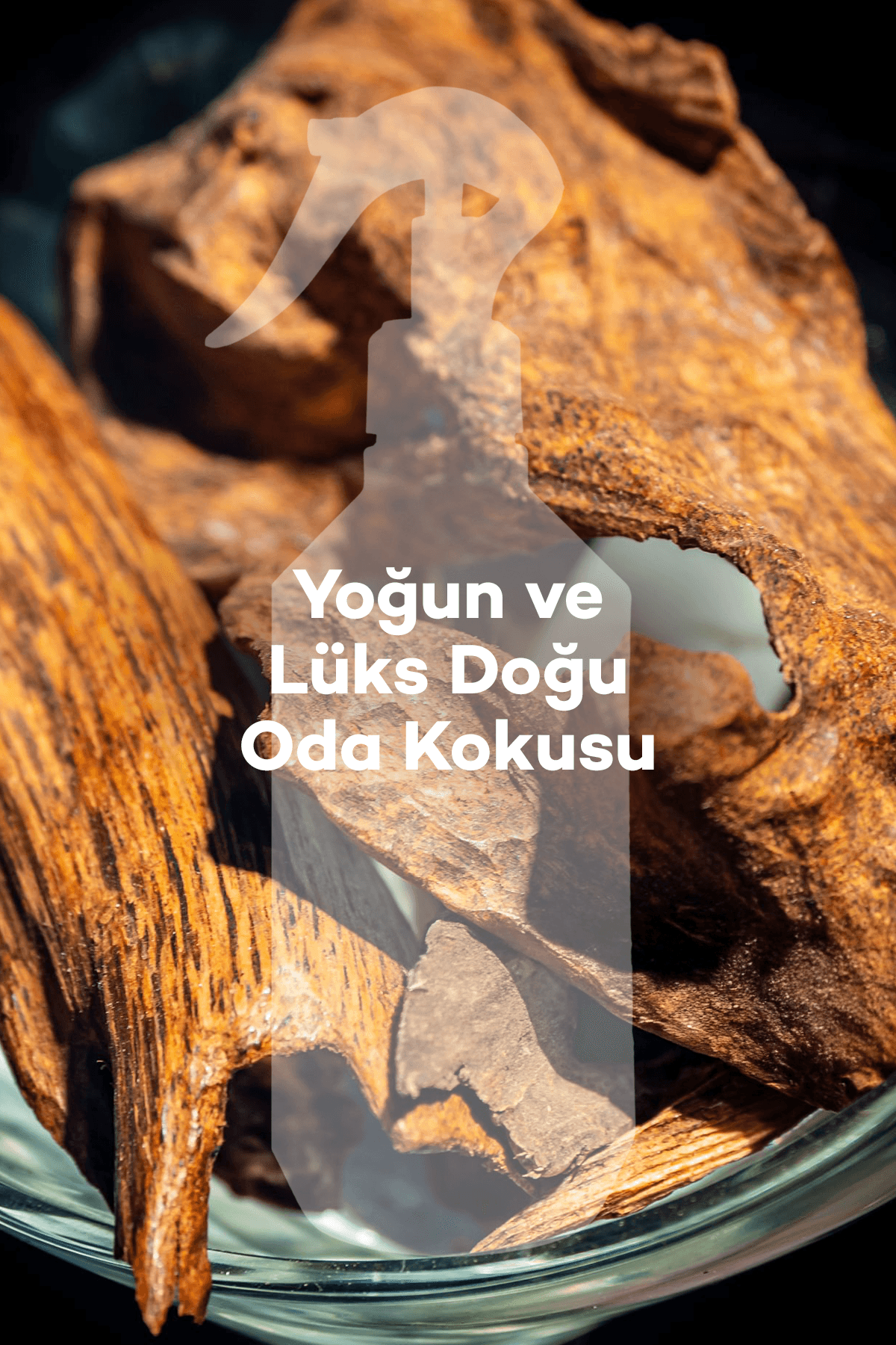 Oud Oda Kokusu 500 ml 2