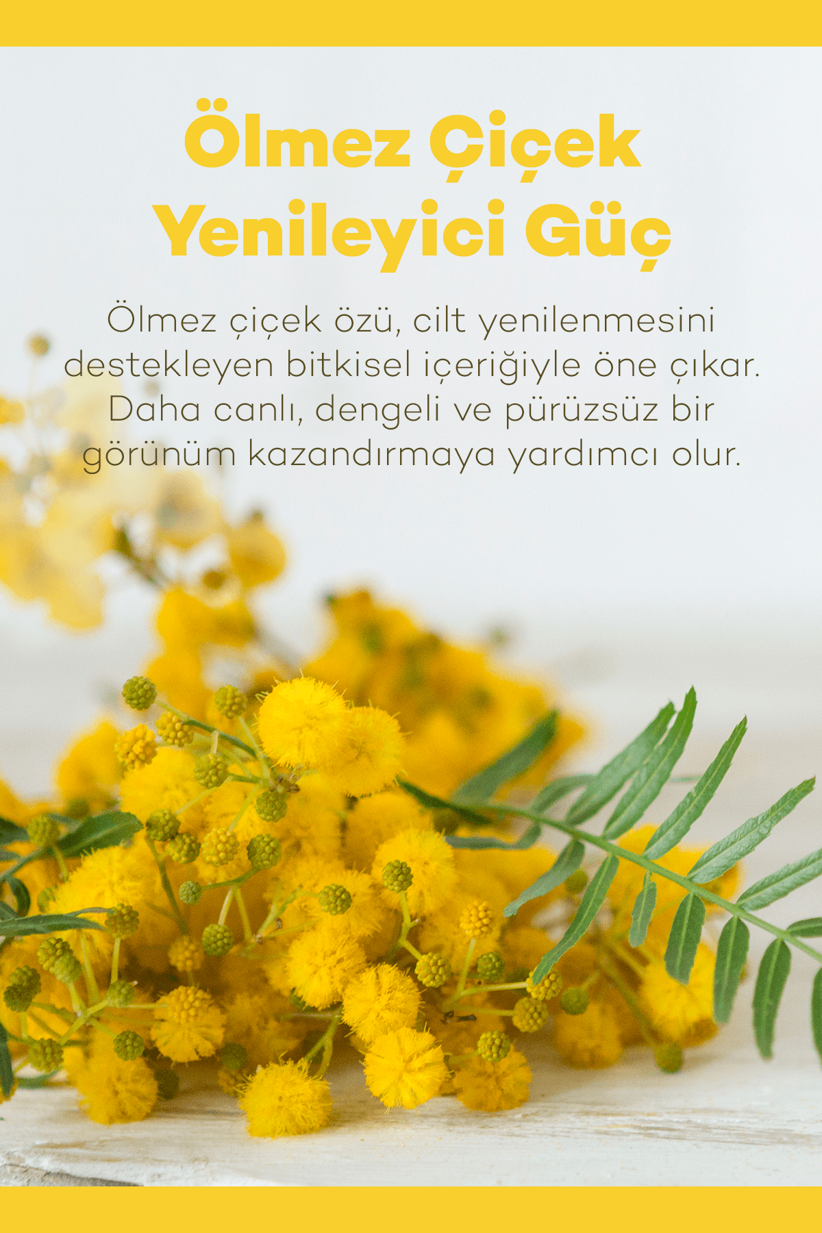 Saf Ölmez Çiçek Suyu Tonik 200 ml 3