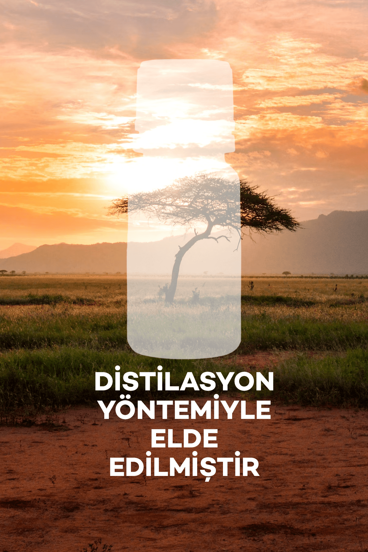 Afrika Yağı 10 ml 2