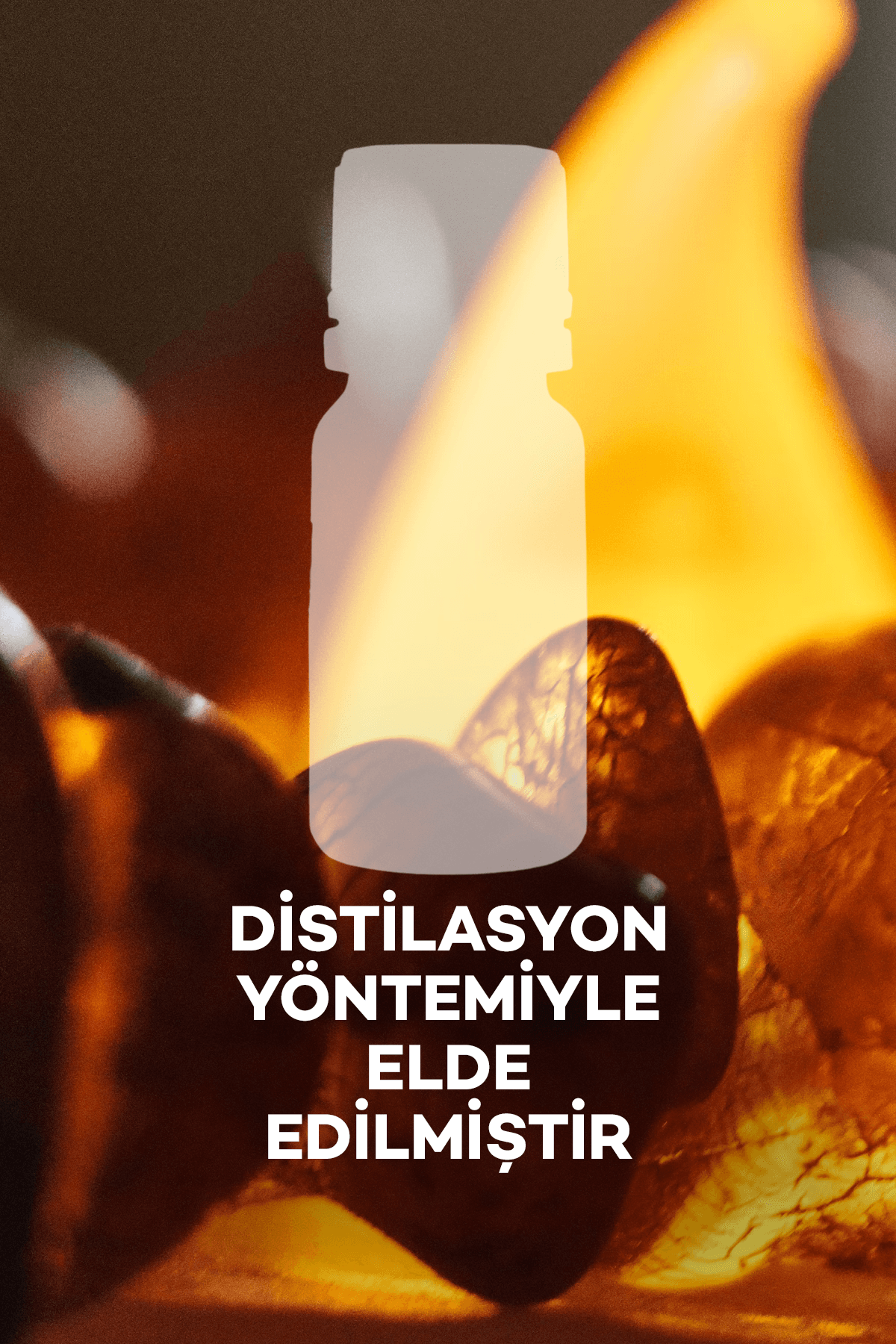 Amber Oud Yağı 10 ml 2