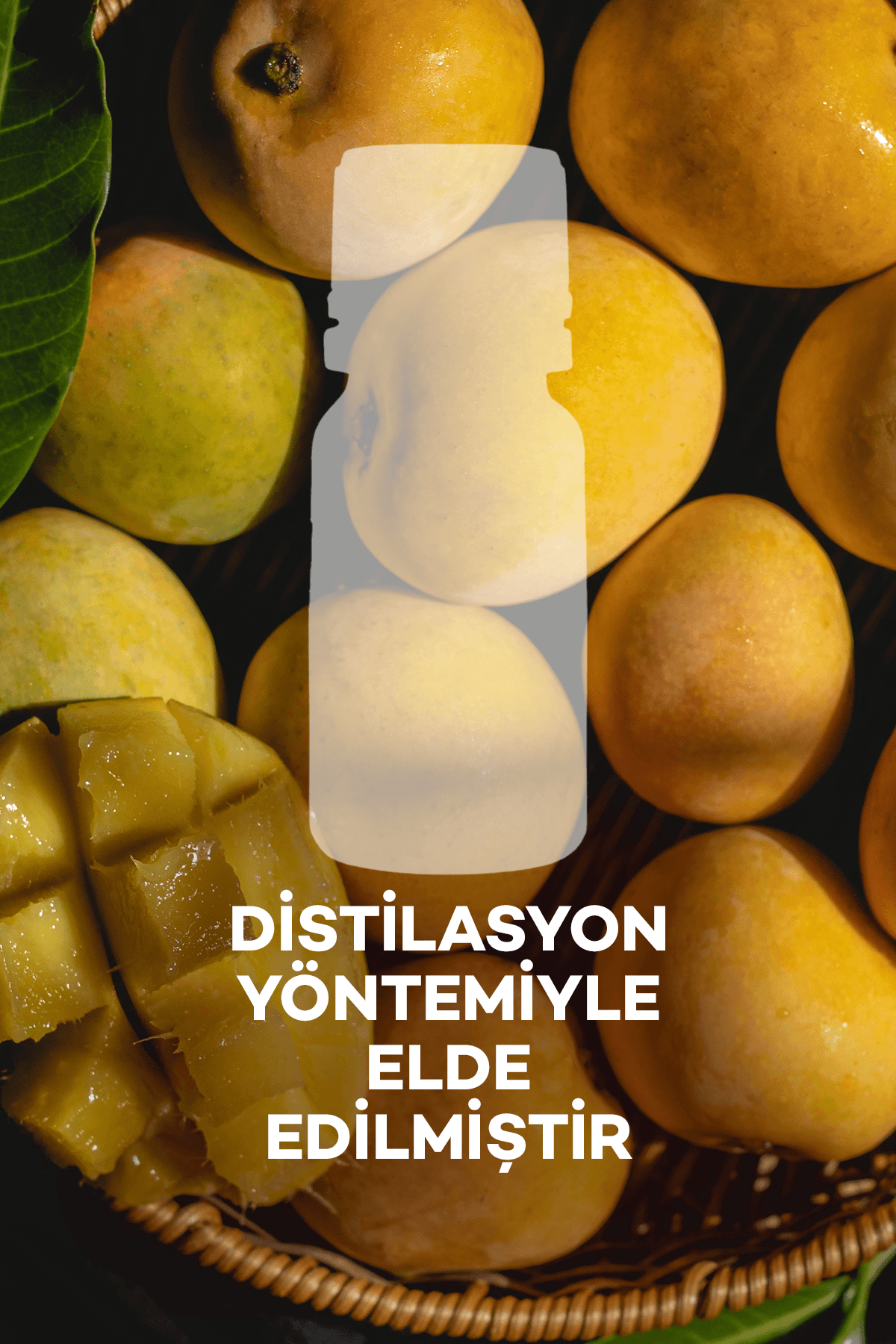 Mango Yağı 10 ml 2