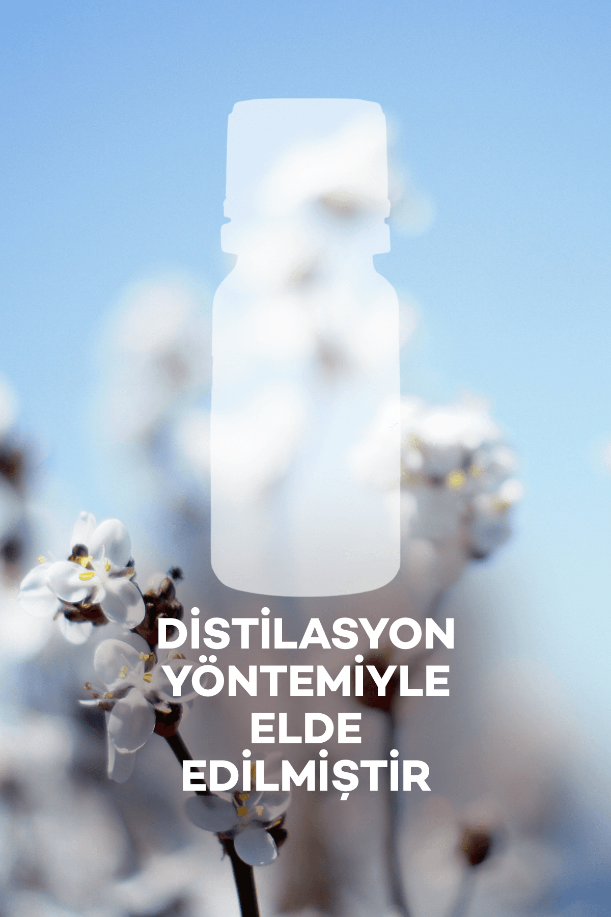 Pudra Yağı 10 ml 2