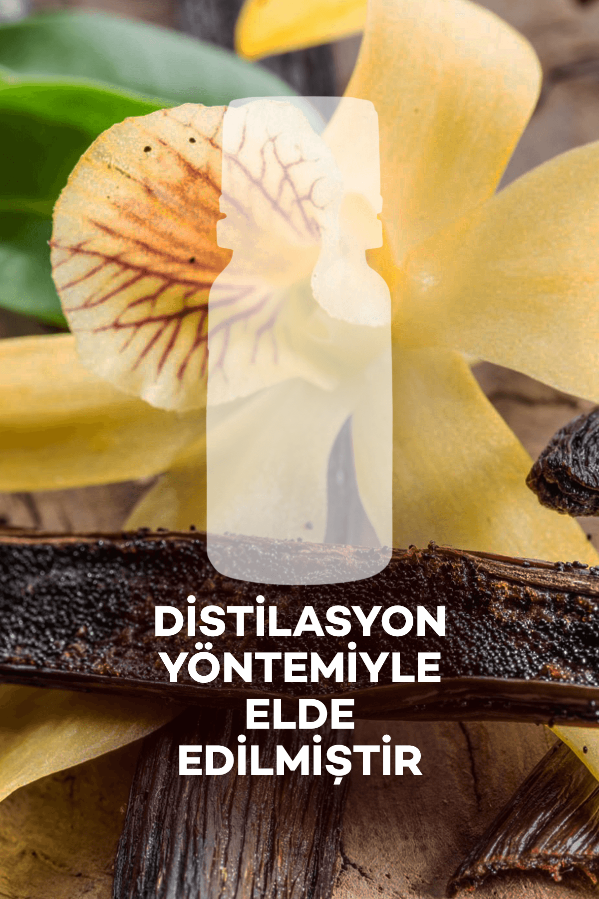 Vanilya Yağı 10 ml 2